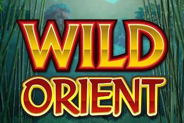 wild-orient-slot-logo