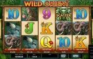 wild orient slot screen 1