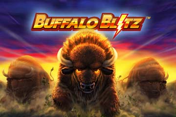 Buffalo Blitz screenshot 1