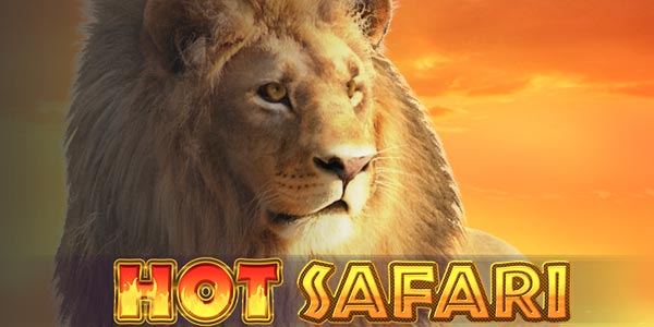 Hot Safari screenshot 1