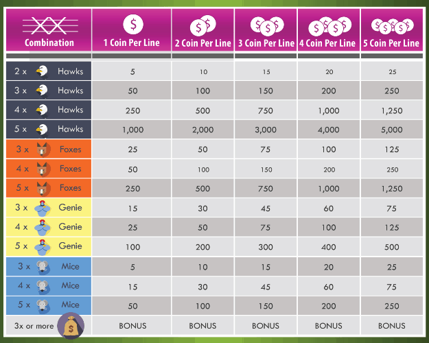 Example of Pay Table Five Reel Video Slot