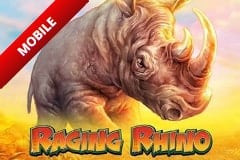 Raging Rhino screenshot 1