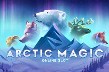 Arctic Magic screenshot 1