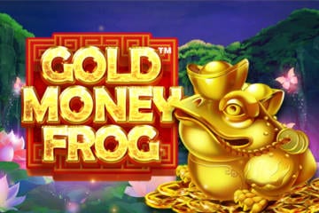 Gold Money Frog  screenshot 1