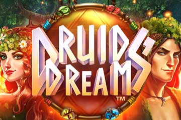 Druid’s Dream screenshot 1